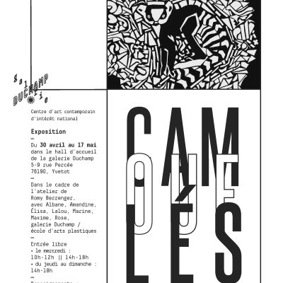 affiche_expo_camoufles
